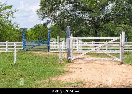 Recinzione in legno e cancello in una fattoria nelle paludi Pantanal, Mato Grosso, Brasile Foto Stock
