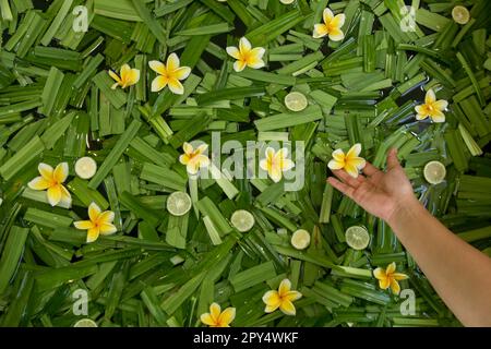 Donna che prepara un bagno alle erbe naturale. Trattamenti termali: Bagno rigenerante alle erbe con fettine di lime, foglie di citronella e fiori Foto Stock