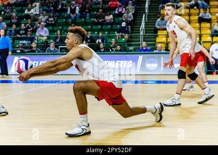 Fairfax, Virginia, Stati Uniti. 2nd maggio, 2023. JACOB PASTEUR (7) della Ohio state University scava la palla durante una partita di quarto finale contro la Penn state University nel campionato di pallavolo maschile NCAA 2023. (Credit Image: © Robert Blakley/ZUMA Press Wire) SOLO PER USO EDITORIALE! Non per USO commerciale! Foto Stock