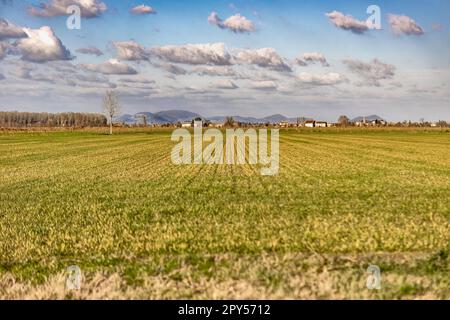 Panorama rurale della Pianura Padana Foto Stock