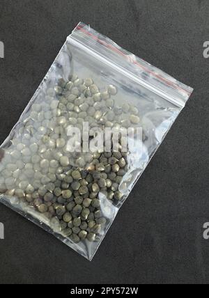 primo piano di semi di okra in un pacchetto, pacchetto pieno di semi di okra su sfondo nero Foto Stock