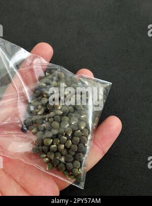 primo piano di semi di okra in un pacchetto, pacchetto pieno di semi di okra su sfondo nero Foto Stock