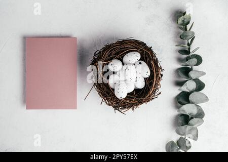 Composizione pasquale di cartolina vuota rosa su sfondo bianco e uova di quaglia nel nido vicino al ramo di eucalipto Foto Stock