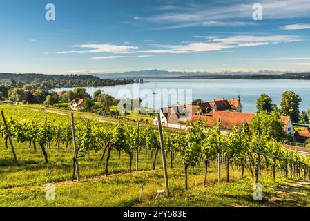 Vista panoramica sul Lago di Costanza, all'orizzonte le montagne Alpstein con Saentis, Baden-WÃ¼rttemberg, Germania Foto Stock