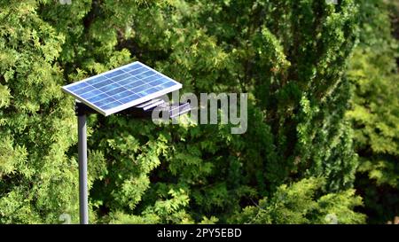 Palo di illuminazione con pannello fotovoltaico e lampade a LED con sfondo verde in giardino. Concetto di produzione di energia rinnovabile. Foto Stock