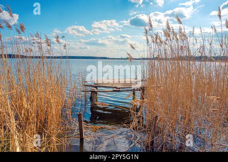 Ponte dei pescatori e brushwood giallo e canne vicino alle acque blu del lago, fiume Guyva in Andrushivka, Ucraina Foto Stock