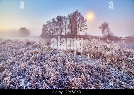 Alba sul fiume invernale. Brina sull'erba, canna da zucchero. Luna in cielo pulito. Nebbia di febbraio. Alba in legno. Paesaggio con clima freddo notturno, riflessi in acqua. Ambiente rurale europeo Foto Stock