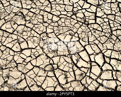 Profonde crepe nella terra come simbolo del clima caldo e della siccità. Deserto e terreno incrinato. Terreno irregolare, gonfio. Vuoto e morte. Tema ecologico e naturale. Foto Stock