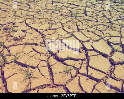 Profonde crepe nella terra come simbolo del clima caldo e della siccità. Deserto e terreno incrinato. Terreno irregolare, gonfio. Vuoto e morte. Tema ecologico e naturale. Foto Stock