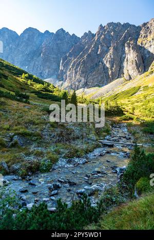 Javorova dolina valle con il fiume e le cime sopra in alta Tatra montagne in Slovacchia durante la bella giornata con il cielo limpido Foto Stock