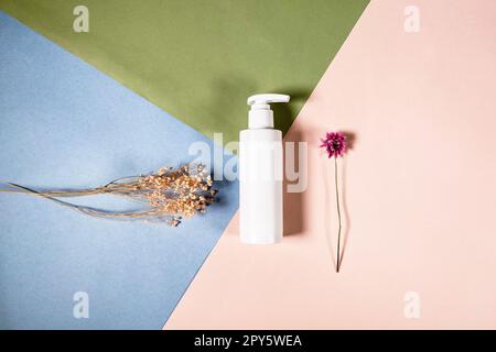 sopra la vista della bottiglia bianca e delle piante essiccate Foto Stock