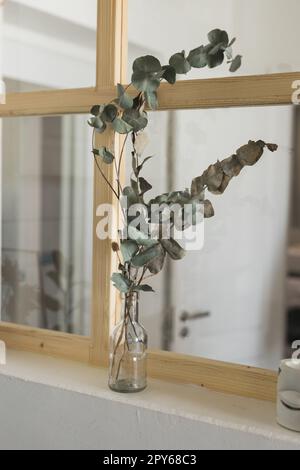 piante secche nell'interno d'epoca dell'appartamento con stucco alle  pareti. stile boho Foto stock - Alamy
