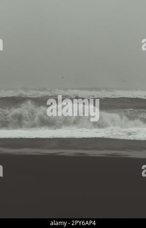 Spiaggia di sabbia scura in un giorno tempestoso foto di paesaggio monocromatico Foto Stock