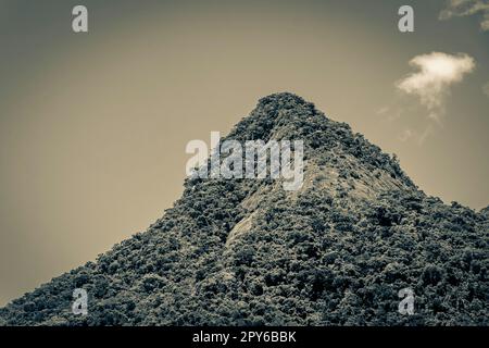 AbraÃ Pico do Papagaio con nuvole. Ilha grande Brasile. Foto Stock