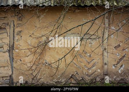Primo piano vecchio muro esterno danneggiato della casa e rami di troppo cresciuto concetto foto Foto Stock
