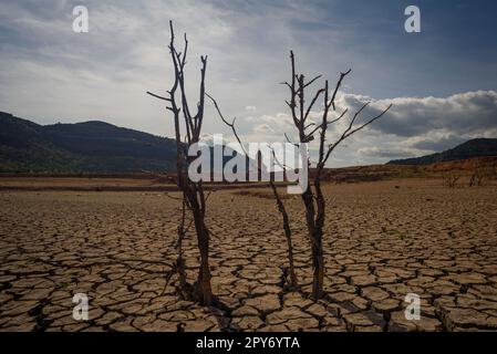 Terra bruciata e zolle di terra sono viste su terra asciutta causata dalla siccità e dalla mancanza di pioggia dovuto il cambiamento climatico. Concetto di carenza idrica e clima cr Foto Stock