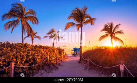 alba colorata a miami beach, florida Foto Stock