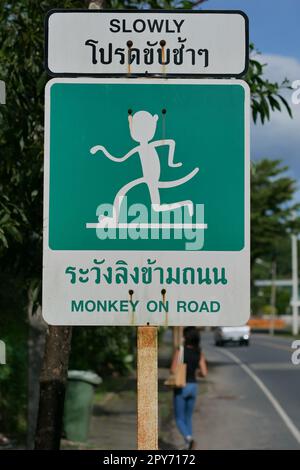 Lentamente, scimmia sulla strada segno in Thailandia Foto Stock