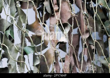 Primo piano di una rete mimetica per uso militare - texture di sfondo. Foto Stock