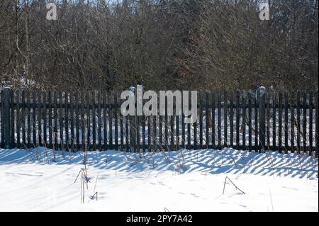 Una recinzione di legno con neve alla luce del sole Foto Stock