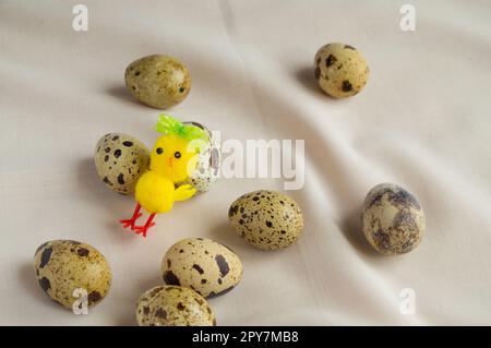 Uova di quaglia e un giocattolo di pollo, preparati per Pasqua Foto Stock