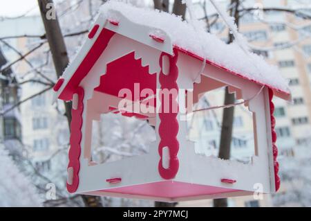 Red bird feeder appeso a un albero coperto di neve nella città in inverno Foto Stock