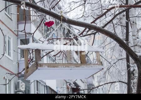 Legno di mangiatoia per uccelli appesi a un albero di Rowan, coperte di neve Foto Stock