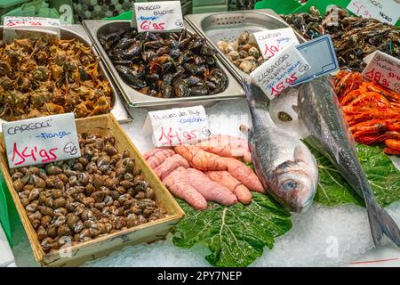 Vongole, frutti di mare e pesce in vendita in un mercato a Barcellona, Spagna Foto Stock