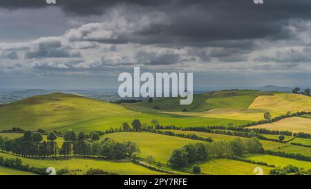 Bovini e pecore che pascolano su verdi colline e pascoli. Antica Loughcrew Cairns, Irlanda Foto Stock