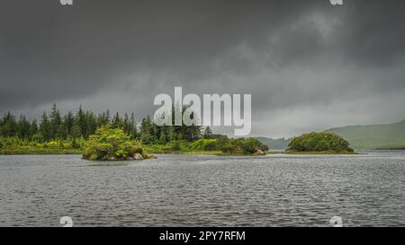 Piccole isole rocciose coperte da cespugli e alberi sul lago Ballynahinch nel Connemara Foto Stock