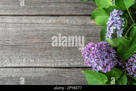Rami lilla su tavole di legno. Foto Stock