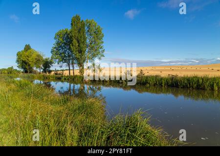 piccolo fiume e campi Foto Stock