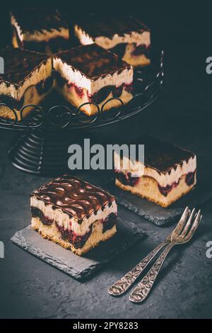 Torta tedesca Donauwelle (onde del Danubio) - torta di Spagna alla vaniglia e al cioccolato con ciliegie acide, crema di burro alla vaniglia e glassa al cioccolato Foto Stock