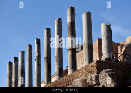 Italia, Roma, foro Romano, tempio di Venere e Roma Foto Stock