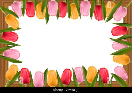 Tulipani multicolori su una cornice di legno. Cornice con spazio di copia. Concetto di giorno della madre, giorno di San Valentino, giorno della donna. Foto Stock