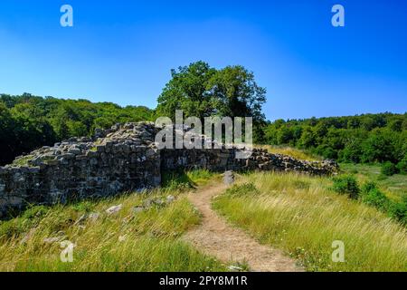 Rovine di Lilleborg, un castello del 12th ° secolo, nella zona forestale di Almindingen sull'isola di Bornholm, Danimarca, Scandinavia, Europa. Foto Stock