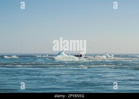 Iceberg galleggianti in mare paesaggio foto Foto Stock