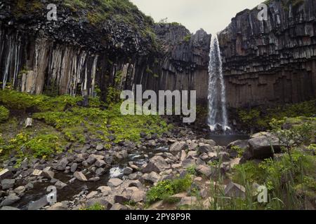 Foto della cascata di Svartifoss e del paesaggio fluviale Foto Stock