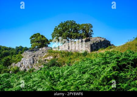 Rovine di Lilleborg, un castello del 12th ° secolo, nella zona forestale di Almindingen sull'isola di Bornholm, Danimarca, Scandinavia, Europa. Foto Stock
