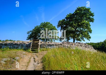 Rovine di Lilleborg, un castello del 12th ° secolo, nella zona forestale di Almindingen sull'isola di Bornholm, Danimarca, Scandinavia, Europa. Foto Stock