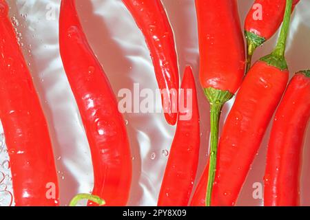 Primo piano di peperoncini freschi a fette su sfondo bianco. Peperoncino rosso in acqua frizzante su fondo bianco, primo piano. Immagine orizzontale Foto Stock