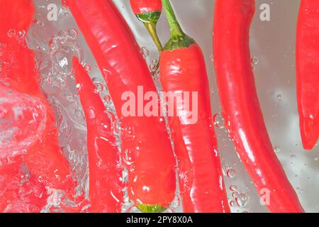 Primo piano dei peperoncini rossi nel liquido con bolle. Peperoncino rosso con bolle d'acqua. Primo piano dei peperoncini rossi freschi su sfondo bianco. Vista dall'alto, design piatto Foto Stock