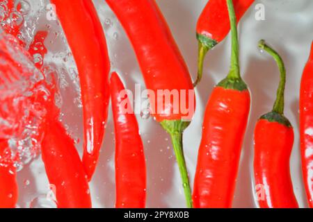 Primo piano di peperoncini freschi a fette su sfondo bianco. Peperoncino rosso in acqua frizzante su fondo bianco, primo piano. Immagine orizzontale Foto Stock