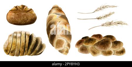 Acquerello vari tipi di pane set illustrazione. Pane tagliato a fette fatto in casa, challah ebraico, fascio di spighe di grano Foto Stock