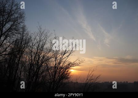 Una tranquilla scena di un sole che tramonta dietro una linea di alberi, illuminando un lussureggiante campo erboso Foto Stock