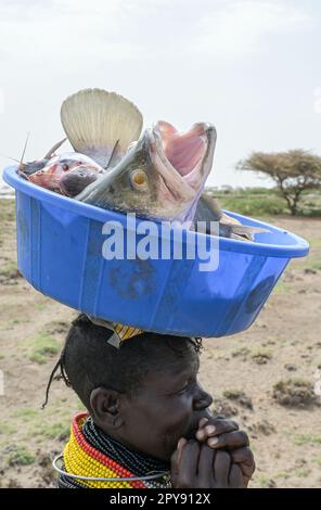 KENYA, Turkana, villaggio Anam al Lago Turkana, donna pescatore con Nilo persico / KENIA, Turkana, Dorf Anam Lago Turkana, Fischer Foto Stock