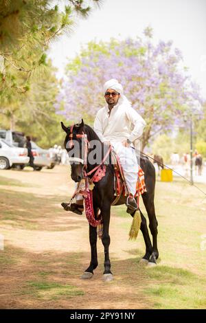 Pakistan, cavallo asiatico cavaliere sul tradizionale Islamabad Championship tent pegging festival in Islamabad tent pegging . 30-Aprile-2023 Foto Stock