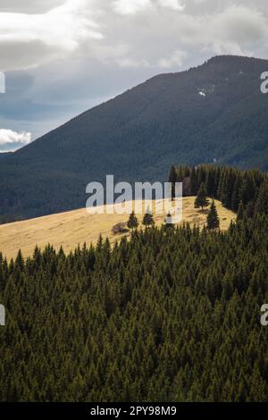 Dragobrat montagna foreste paesaggio foto Foto Stock