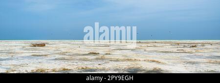 Jambiani, Zanzibar Foto Stock