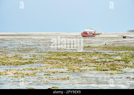 Jambiani, Zanzibar Foto Stock